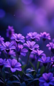iphone flower wallpaper – purple aesthetic flowers at night 