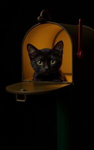 Cute black background character wallpaper