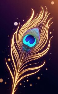 Peacock feather close up HD wallpaper