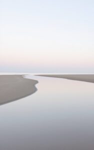 Peaceful forest scenery with soft light