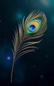 Peacock feather artistic design wallpaper