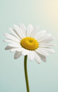 Waterfall cliff nature wallpaper