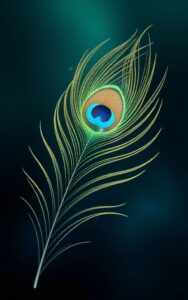 Abstract mor pankh colorful wallpaper