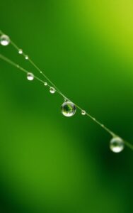 Nature peace quote style wallpaper