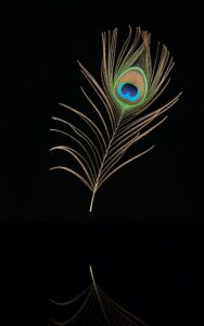 Artistic mor pankh wallpaper